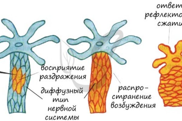 Кракен даркент